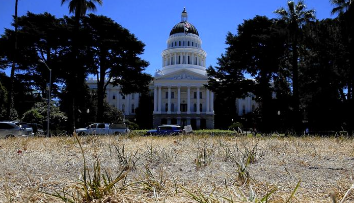 brown_grass_at_California_state_capitol_-_Google_Search.png