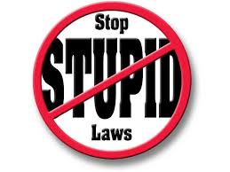 Stupid-law