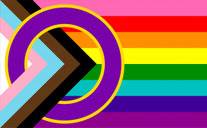 Inclusive_Progressive_Pride_flag-300x186